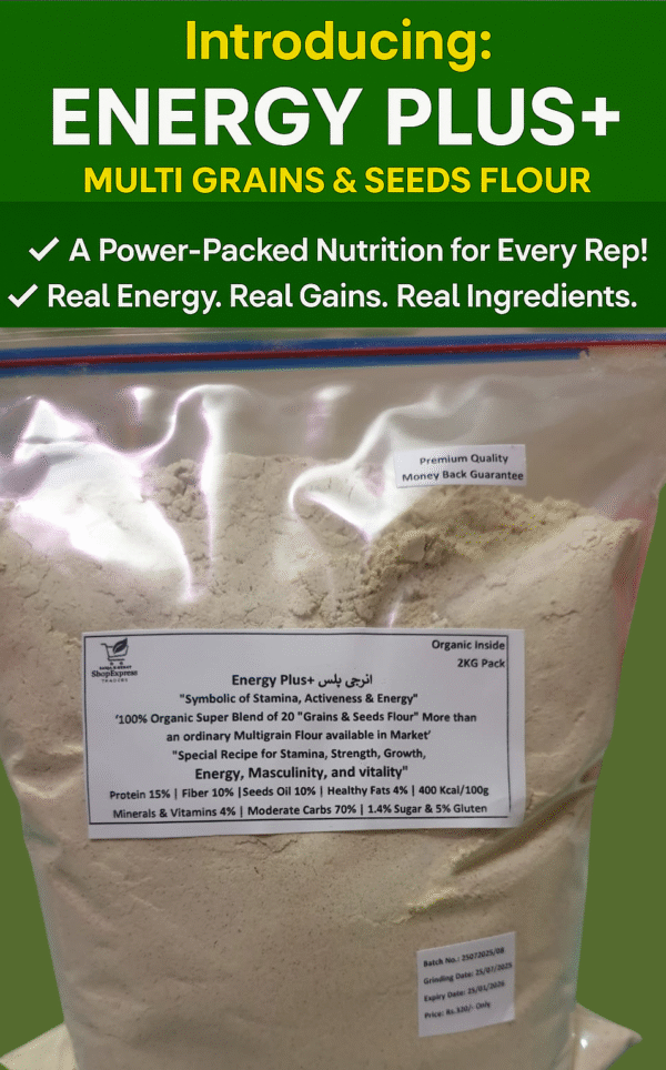 Energy Plus انرجی پلس